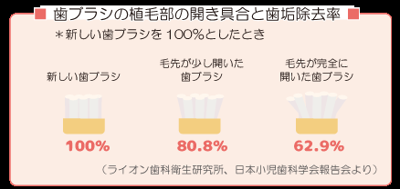 歯ブラシの交換頻度🐣 画像01