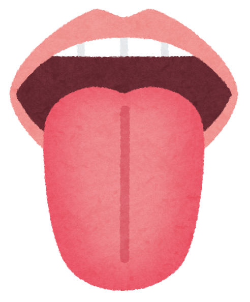 舌の働き👅 画像01