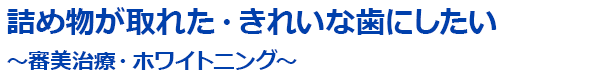 詰め物が取れた・きれいな歯にしたい～審美治療・ホワイトニング～