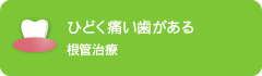 ひどく痛い歯がある 根管治療