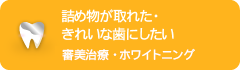 詰め物が取れた・きれいな歯にしたい審美治療・ホワイトニング