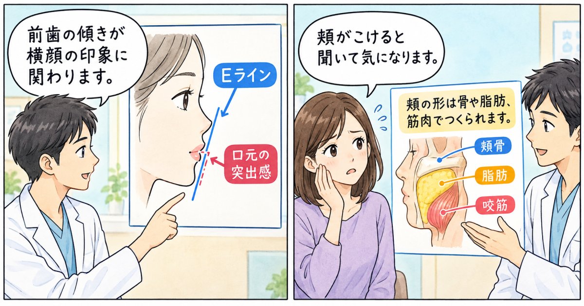 口元の突出感や横顔(Eライン)への影響と仕上がりの違い